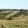 Rolling Hills - Southern Highlands