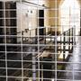Parramatta Correctional Centre