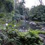 Royal National Park