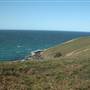 Port Macquarie Area