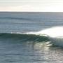 Port Macquarie Area