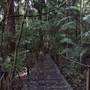 Port Macquarie Area