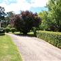 Petersons Armidale Winery & Guesthouse