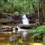 Tenterfield
