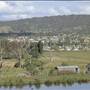 Tenterfield