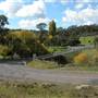 Walcha