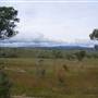 Wollomombi Gorge