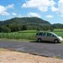 Sugar Cane Fields, Condong