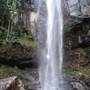 Terania Creek picnic area & Protesters Falls walking track