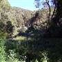 Tweed - McKenzie Property