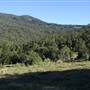 Tweed - McKenzie Property