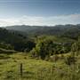 Tweed Valley 1 of 2