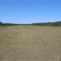 Tyagarah Airfield, Byron Bay