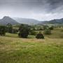 Tweed Valley 1 of 2