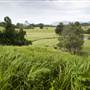 Tweed Valley 1 of 2