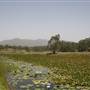 Clarrie Hall Dam