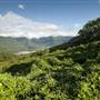 Tweed Valley 1 of 2