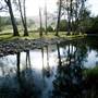 Tweed Valley 1 of 2