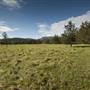 Tweed Valley 1 of 2
