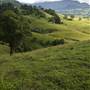 Tweed Valley 1 of 2