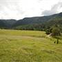 Tweed Valley 1 of 2