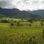 Tweed Valley 1 of 2