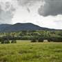 Tweed Valley 1 of 2