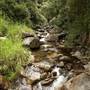 Tweed Valley 1 of 2
