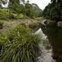 Tweed Valley 1 of 2