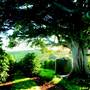 Zentveld's Coffee Plantation