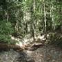 Upper Crystal Creek
