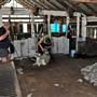 Sheep Station