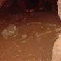 Wellington Caves Complex