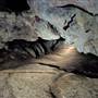 Wellington Caves Complex