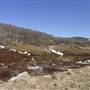 Perisher