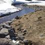 Perisher