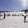 Perisher