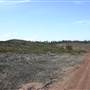 Penrose State Forest - Southern Highlands