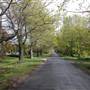 Robertson - Southern Highlands