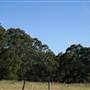 Robertson - Southern Highlands