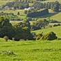 Robertson - Southern Highlands
