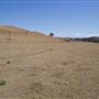 Picton Property