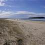 Shellharbour 1