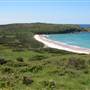 Shellharbour 1