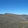 Snowy Mountains - Semi-Dry Steppes