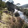 Thredbo