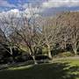 Wollongong Botanic Garden