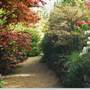 Lindfield Park