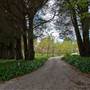 Parklands Country Garden & Lodges