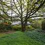 Parklands Country Garden & Lodges